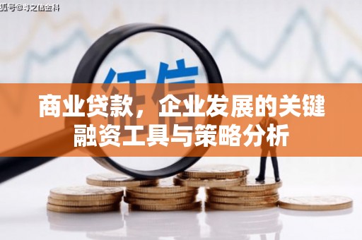 金宁商业贷款，企业发展的关键融资工具与策略分析