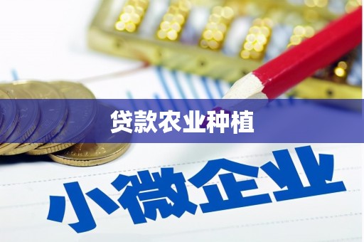 宝坻贷款农业种植