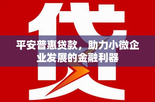 云龙平安普惠贷款，助力小微企业发展的金融利器