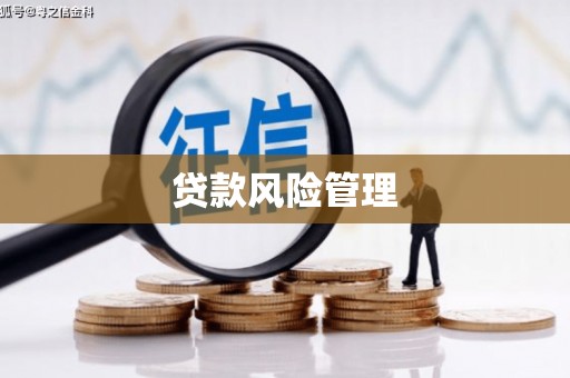 新埤贷款风险管理
