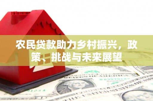 塘厦农民贷款助力乡村振兴，政策、挑战与未来展望