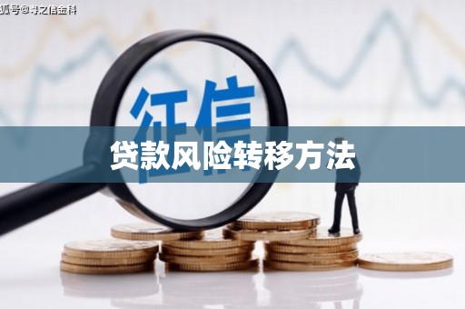 内埔贷款风险转移方法
