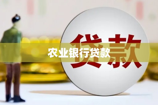 武穴农业银行贷款