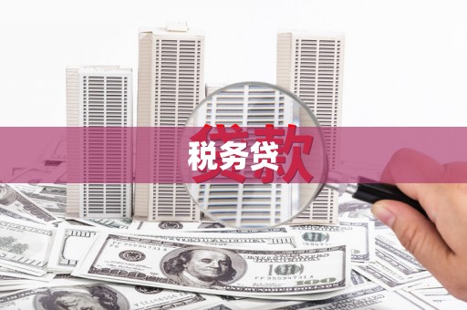 同德税务贷