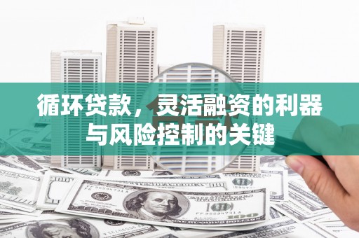 巍山循环贷款，灵活融资的利器与风险控制的关键