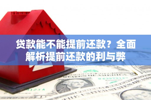 凌海贷款能不能提前还款？全面解析提前还款的利与弊