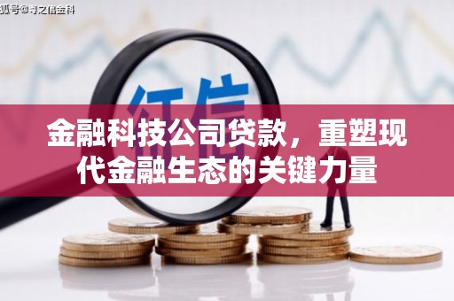 阜沙金融科技公司贷款，重塑现代金融生态的关键力量