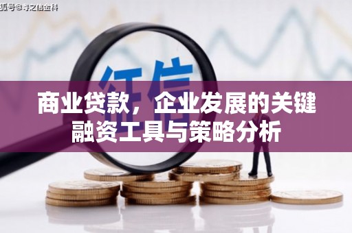 陆川商业贷款，企业发展的关键融资工具与策略分析