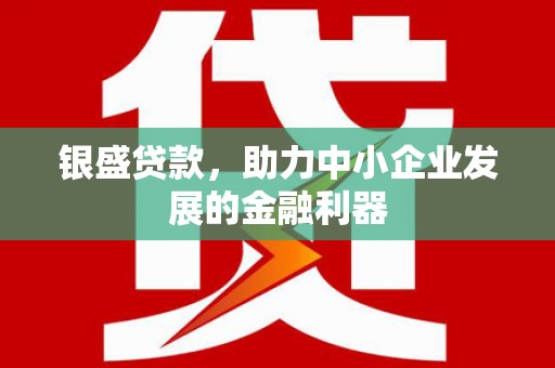 颍上银盛贷款，助力中小企业发展的金融利器