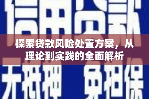 贡寮探索贷款风险处置方案，从理论到实践的全面解析