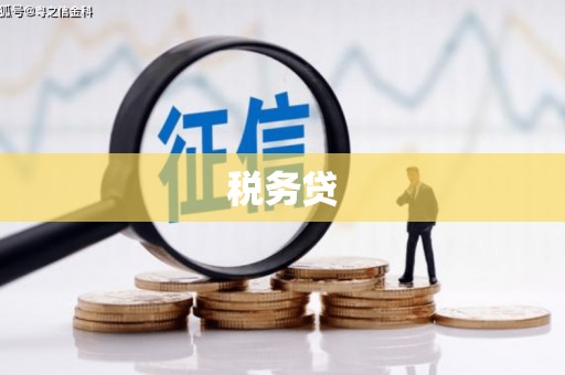 民权税务贷