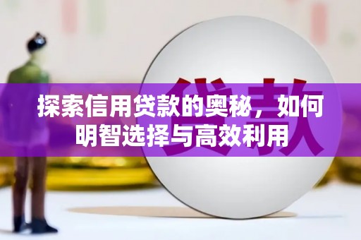 吴兴探索信用贷款的奥秘，如何明智选择与高效利用