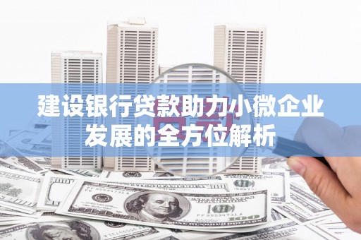 屏边建设银行贷款助力小微企业发展的全方位解析