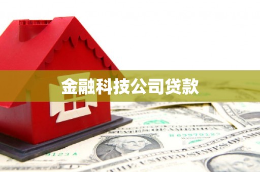 崁顶金融科技公司贷款