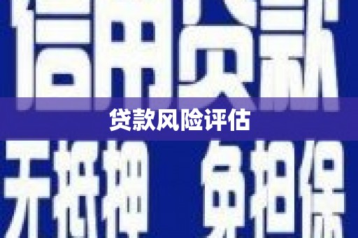 金州贷款风险评估