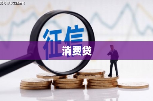 新民消费贷