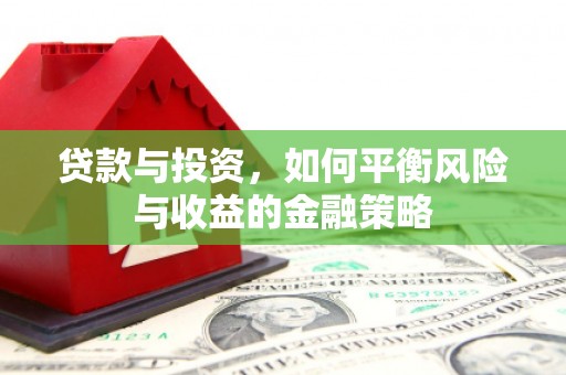 海东贷款与投资，如何平衡风险与收益的金融策略
