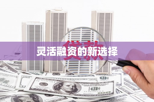 利州灵活融资的新选择