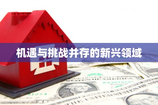 平谷机遇与挑战并存的新兴领域