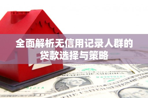 八里全面解析无信用记录人群的贷款选择与策略