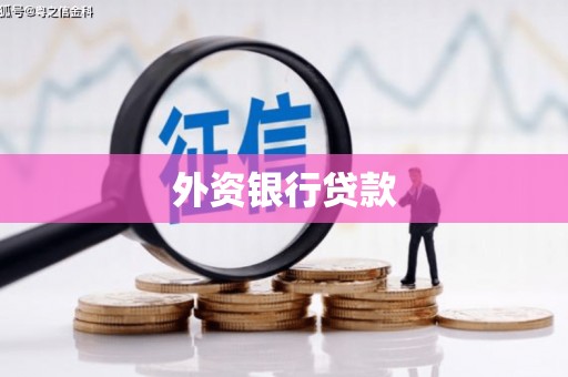 屏南外资银行贷款
