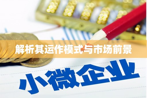 巴里坤解析其运作模式与市场前景