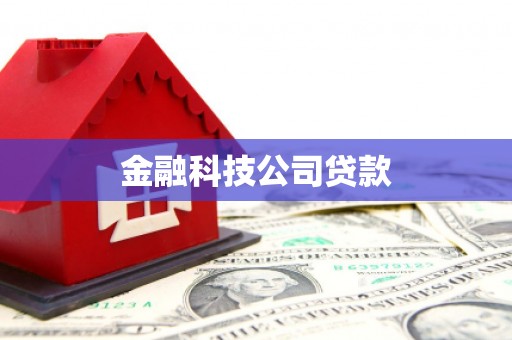 南陵金融科技公司贷款