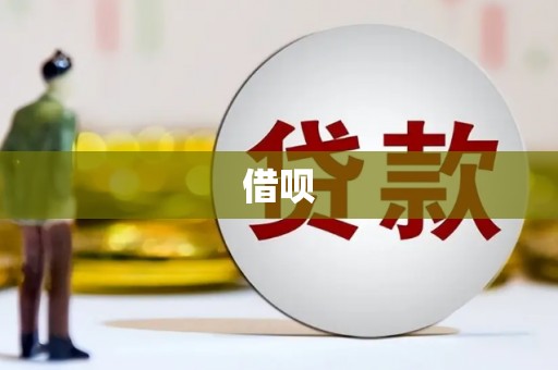 沈河借呗