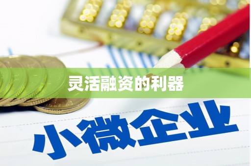 阿莲灵活融资的利器