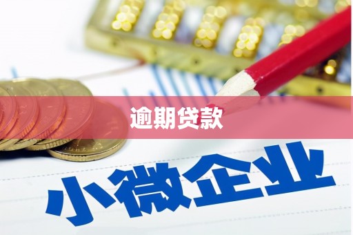 游仙逾期贷款