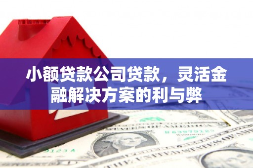 信阳小额贷款公司贷款，灵活金融解决方案的利与弊